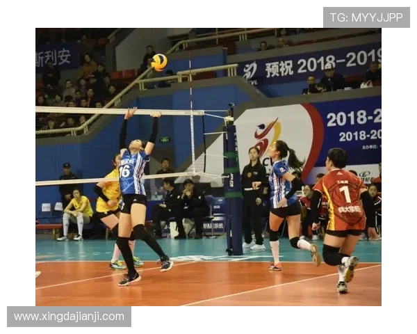 西安排球队勇夺排球节奏排行榜第一名引发热议